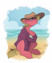 Size: 1706x2048 | Tagged: safe, artist:chibadeer, derpibooru import, oc, oc only, earth pony, pony, beach, clothes, ears, floppy ears, hat, solo, sweater