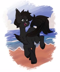 Size: 1707x2048 | Tagged: safe, artist:chibadeer, derpibooru import, oc, oc only, bat pony, pony, bat pony oc, beach, chest fluff, looking back, open mouth, open smile, smiling, solo