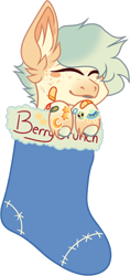 Size: 494x1049 | Tagged: safe, artist:mourningfog, derpibooru import, oc, oc only, oc:berry crunch, pegasus, pony, bandaid, christmas, christmas stocking, ear fluff, ears, holiday, simple background, solo, transparent background