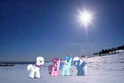 Size: 1024x685 | Tagged: safe, derpibooru import, double diamond, night glider, party favor, sugar belle, earth pony, pegasus, pony, unicorn, arvada, butt, clothes, colorado, equal four, female, irl, male, mare, photo, plot, ponies in real life, scarf, snow, spread wings, stallion, wings