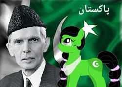 Size: 720x513 | Tagged: safe, artist:lekadema, derpibooru import, edit, human, pony, flag, muhammad ali jinnah, nation ponies, pakistan, ponified, urdu