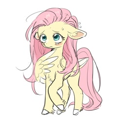 Size: 640x640 | Tagged: safe, artist:racoonman, derpibooru import, fluttershy, pegasus, pony, blushing, chest fluff, colored wings, colored wingtips, cute, ear fluff, ears, female, floppy ears, mare, nervous, shy, shyabetes, simple background, sketch, solo, teary eyes, white background, wings