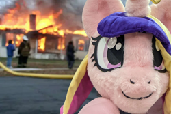 Size: 600x400 | Tagged: safe, edit, princess cadance, alicorn, anthro, cosplay, disaster girl, featured image, female, fursuit, irl, irl human, mare, meme, photo, solo