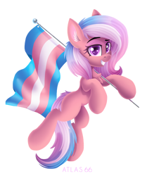 Size: 4173x5000 | Tagged: safe, artist:atlas-66, derpibooru import, oc, oc only, earth pony, pony, pride, pride flag, simple background, solo, transgender pride flag, transparent background