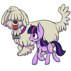 Size: 540x540 | Tagged: safe, artist:kovoranu, derpibooru import, twilight sparkle, oc, dog, pony, alternate universe, simple background, whistle, white background