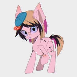 Size: 1500x1500 | Tagged: safe, artist:destroyer_aky, derpibooru import, oc, oc only, oc:abbey, earth pony, pony, hat, looking at you, simple background