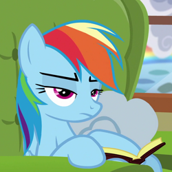 Size: 840x840 | Tagged: safe, derpibooru import, screencap, rainbow dash, pegasus, pony, flutter brutter, season 6, book, cropped, female, mare, solo, unamused