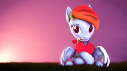 Size: 3840x2160 | Tagged: safe, artist:lagmanor, derpibooru import, part of a set, rainbow dash, pegasus, pony, 3d, blushing, dawn, embarrassed, female, flower, grass, grass field, heart, hearts and hooves day, high res, hoof hold, hooves, looking at you, mane, mare, mouth hold, rose, shy, sitting, solo, source filmmaker, sunrise