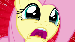 Size: 1280x720 | Tagged: safe, derpibooru import, screencap, pegasus, pony, castle mane-ia, season 4, close-up, crying, fluttercry, implied angel bunny, open mouth, screaming, solo, tears of fear, teary eyes