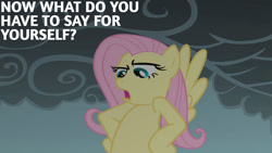 Size: 1280x720 | Tagged: safe, derpibooru import, edit, edited screencap, editor:quoterific, screencap, fluttershy, pegasus, pony, dragonshy, season 1, female, flying, mare, open mouth, solo, spread wings, wings