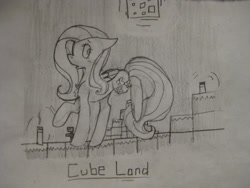 Size: 2592x1944 | Tagged: safe, artist:oatmeal-is-crazy, artist:potatoo-tree, derpibooru import, fluttershy, 2013, female, mare, minecraft, monochrome, sketch, solo, traditional art