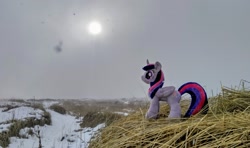 Size: 2048x1214 | Tagged: safe, derpibooru import, photographer:pakapaka1993, twilight sparkle, twilight sparkle (alicorn), alicorn, pony, irl, japan, photo, plushie, snow, solo