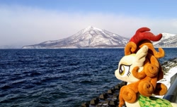 Size: 2048x1249 | Tagged: safe, derpibooru import, photographer:pakapaka1993, autumn blaze, kirin, pony, irl, japan, mountain, ocean, photo, plushie, solo, water