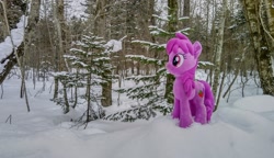 Size: 2048x1176 | Tagged: safe, derpibooru import, photographer:pakapaka1993, berry punch, berryshine, earth pony, pony, irl, japan, photo, plushie, snow, solo, tree, winter