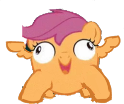 Size: 950x800 | Tagged: safe, artist:creamyogurt, derpibooru import, scootaloo, pony, simple background, solo, transparent background, wat