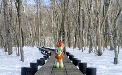 Size: 2048x1253 | Tagged: safe, derpibooru import, photographer:pakapaka1993, autumn blaze, kirin, pony, irl, japan, photo, plushie, snow, solo, tree, winter