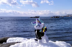 Size: 2218x1449 | Tagged: safe, derpibooru import, photographer:pakapaka1993, rarity, pony, unicorn, alternate hairstyle, irl, japan, ocean, photo, plushie, punk, raripunk, rock, snow, solo, water