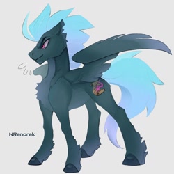 Size: 1024x1024 | Tagged: safe, artist:anoraknr, derpibooru import, oc, oc only, pegasus, pony, chest fluff, simple background, solo, unshorn fetlocks