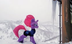 Size: 2048x1249 | Tagged: safe, derpibooru import, photographer:pakapaka1993, tempest shadow, pony, unicorn, ice, icicle, irl, japan, photo, plushie, snow, solo, winter