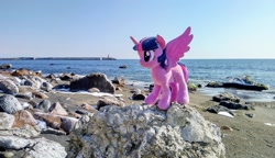 Size: 2048x1180 | Tagged: safe, derpibooru import, photographer:pakapaka1993, twilight sparkle, twilight sparkle (alicorn), alicorn, pony, beach, irl, japan, ocean, photo, plushie, rock, solo, water