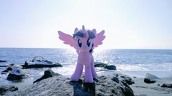 Size: 1024x575 | Tagged: safe, derpibooru import, photographer:pakapaka1993, twilight sparkle, twilight sparkle (alicorn), alicorn, pony, beach, irl, japan, ocean, photo, plushie, rock, solo, water