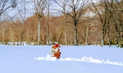 Size: 2048x1216 | Tagged: safe, derpibooru import, photographer:pakapaka1993, autumn blaze, kirin, pony, irl, japan, photo, plushie, snow, solo, tree