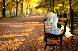 Size: 2560x1691 | Tagged: safe, artist:zombielandundead, derpibooru import, derpy hooves, pegasus, pony, 2014, autumn, bench, female, irl, photo, ponies in real life, sitting, solo
