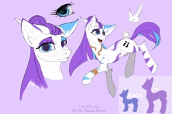 Size: 1622x1080 | Tagged: safe, artist:chan_koemi, artist:oriana80, derpibooru import, oc, oc only, oc:shiro, bird, earth pony, pony, reference sheet, solo, stripes