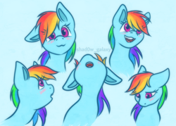 Size: 1400x1000 | Tagged: safe, artist:shad0w-galaxy, derpibooru import, rainbow dash, pegasus, pony, :3, :o, blue background, blushing, bust, cute, dashabetes, dashstorm, doodle, ears, expressions, female, floppy ears, happy, looking at you, looking down, looking up, mare, multeity, multicolored hair, nose in the air, one ear down, open mouth, portrait, rainbow hair, sad, simple background, sketch, sketch dump, smiling, solo