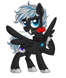 Size: 2256x2657 | Tagged: safe, artist:kaikururu, derpibooru import, oc, oc only, pegasus, pony, collar, ear piercing, earring, eyelashes, flower, flower in mouth, hoof polish, jewelry, mouth hold, pegasus oc, piercing, raised hoof, raised leg, rose, simple background, transparent background, wings