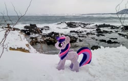 Size: 2048x1302 | Tagged: safe, derpibooru import, photographer:pakapaka1993, twilight sparkle, twilight sparkle (alicorn), alicorn, pony, irl, japan, ocean, photo, plushie, snow, solo, water, winter