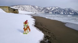 Size: 2048x1139 | Tagged: safe, derpibooru import, photographer:pakapaka1993, autumn blaze, kirin, pony, beach, irl, japan, photo, plushie, snow, solo, winter