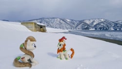 Size: 1024x576 | Tagged: safe, derpibooru import, photographer:pakapaka1993, autumn blaze, kirin, pony, beach, duo, irl, japan, photo, plushie, snow, winter