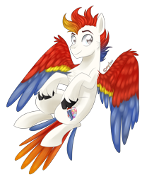 Size: 3300x4100 | Tagged: safe, artist:kaikururu, derpibooru import, oc, oc only, pegasus, pony, male, pegasus oc, simple background, solo, stallion, transparent background, unshorn fetlocks