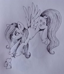 Size: 2742x3155 | Tagged: safe, artist:nightydream, derpibooru import, fluttershy, pony, rabbit, animal, monochrome, solo, traditional art