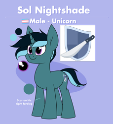 Size: 1780x1941 | Tagged: safe, artist:moonatik, derpibooru import, oc, oc only, oc:sol nightshade, pony, unicorn, cutie mark, male, pride, pride flag, reference sheet, solo, stallion, transgender, transgender pride flag