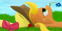 Size: 1006x506 | Tagged: safe, artist:neitronik, derpibooru import, apple bloom, applejack, earth pony, pony, duo, duo female, eyes closed, female, filly, flower, flower in mouth, foal, grass, lying down, mare, mouth hold, on back, solo