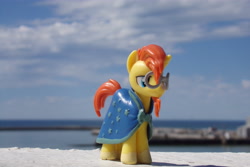 Size: 4608x3072 | Tagged: safe, artist:dingopatagonico, derpibooru import, sunburst, pony, irl, photo, solo, toy