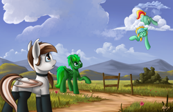 Size: 5100x3300 | Tagged: safe, artist:supermoix, derpibooru import, oc, oc:choco, oc:choco blanc, oc:daylight, oc:typhoon, bat pony, pegasus, pony, bat pony oc, cloud, cute, field, grass, mountain, pegasus oc