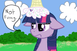 Size: 1800x1200 | Tagged: safe, artist:zoefrancesva, derpibooru import, twilight, twilight sparkle, pony, dialogue, ears, female, floppy ears, food, frown, ice cream, solo, speech bubble, twilight is not amused, unamused