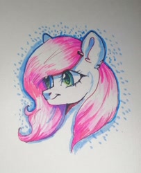 Size: 1297x1600 | Tagged: safe, artist:ske, derpibooru import, oc, earth pony, pony, solo, traditional art