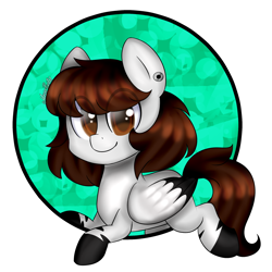 Size: 2000x2000 | Tagged: safe, artist:erinisanxious, derpibooru import, oc, oc only, pegasus, pony, female, pegasus oc, solo