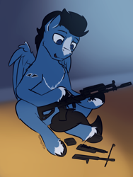 Size: 3000x4000 | Tagged: safe, artist:toanderic, derpibooru import, oc, oc only, oc:enduro elite, pegasus, pony, ak-12, blaze (coat marking), cleaning, coat markings, facial markings, folded wings, gun, pegasus oc, rifle, solo, unshorn fetlocks, weapon, wings