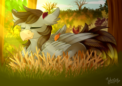 Size: 4093x2894 | Tagged: safe, artist:julunis14, derpibooru import, oc, oc only, oc:luxor, classical hippogriff, hippogriff, autumn, behaving like a bird, bird nest, eyes closed, leaf, relaxing