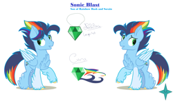 Size: 4512x2648 | Tagged: safe, artist:mielthedarkfox, derpibooru import, pegasus, pony, chest fluff, duo, female, male, mare, offspring, parent:rainbow dash, parent:soarin', parents:soarindash, raised hoof, raised leg, simple background, stallion, white background