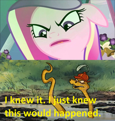 Size: 1280x1350 | Tagged: safe, artist:darkmagicianmon, edit, edited screencap, screencap, princess cadance, queen chrysalis, python, snake, a canterlot wedding, engrish, fake cadance, sir hiss