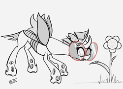 Size: 5500x4000 | Tagged: safe, artist:evan555alpha, ponybooru exclusive, oc, oc only, oc:yvette (evan555alpha), changeling, ladybug, evan's daily buggo, bugs doing bug things, changeling oc, curious, dorsal fin, ear clip, elytra, face down ass up, fangs, female, flower, gasp, glasses, grayscale, head down, leaf, looking at something, monochrome, open mouth, partial color, pinpoint eyes, round glasses, signature, simple background, sketch, solo, spread wings, stare, white background, wide eyes