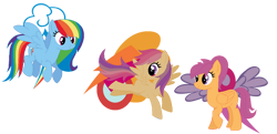 Size: 1024x497 | Tagged: safe, artist:juliahtf, derpibooru import, rainbow dash, scootaloo, oc, oc:wingscooter, pegasus, pony, alternate cutie mark, alternate hairstyle, beige fur, female, lesbian, magical lesbian spawn, offspring, older, older scootaloo, parent:rainbow dash, parent:scootaloo, parents:scootadash, scootadash, shipping, simple background, stock vector, transparent background, trio