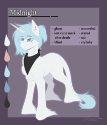 Size: 2900x3400 | Tagged: safe, artist:lunciakkk, derpibooru import, oc, oc:midnight, unicorn, clothes, female, reference sheet, scarf, solo, unshorn fetlocks