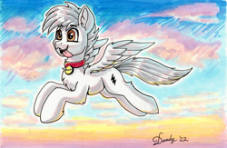 Size: 2684x1751 | Tagged: safe, artist:dandy, derpibooru import, oc, oc only, oc:bolt the super pony, pegasus, pony, bolt, chest fluff, collar, dog collar, ear fluff, ears, flying, marker drawing, pegasus oc, pet tag, ponified, solo, tongue, tongue out, traditional art